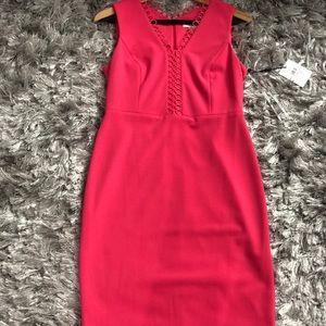 Brand New Calvin Klein Pink Dress